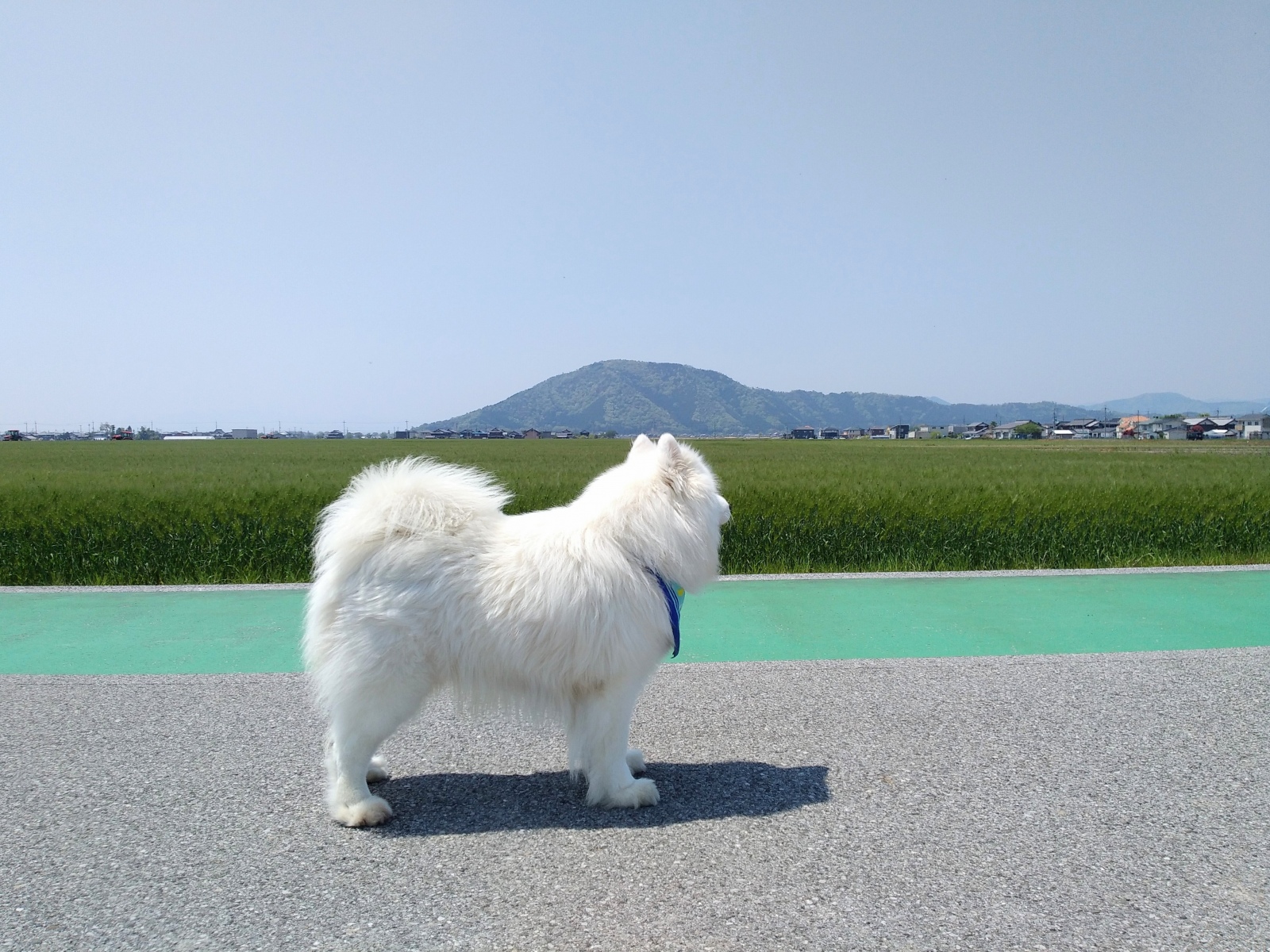 気持ちええな～