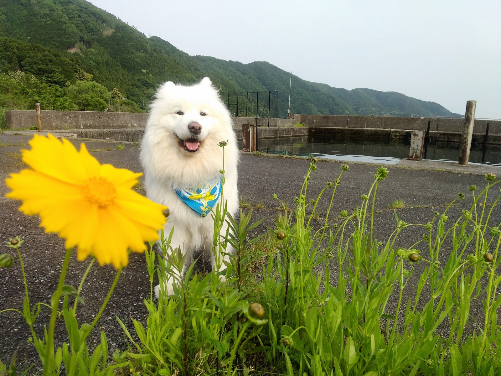 ~J邨