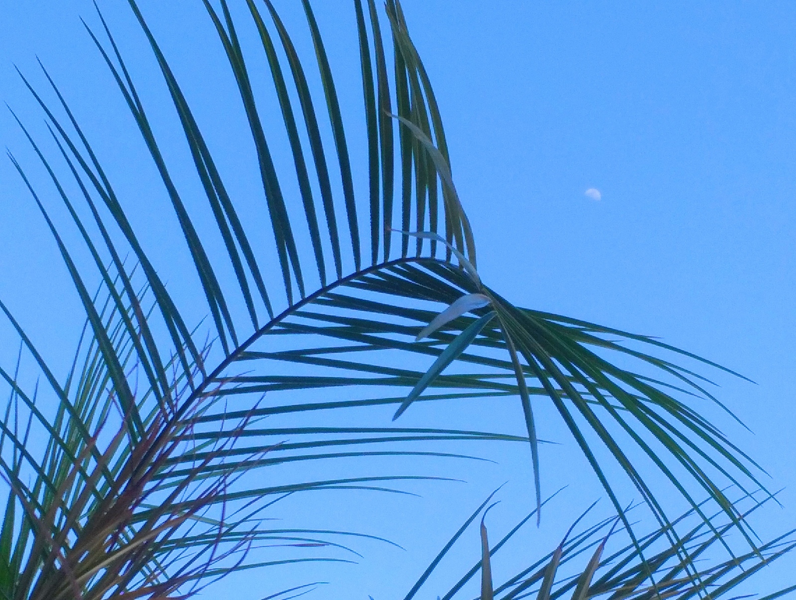 ꂳ܂ł