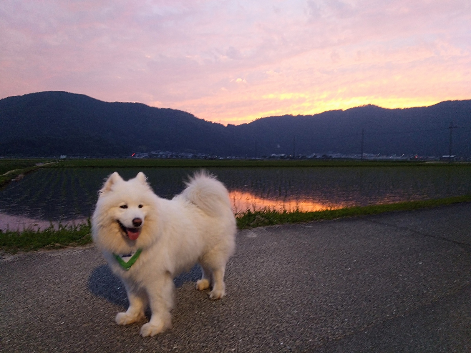 梅雨の晴れ間