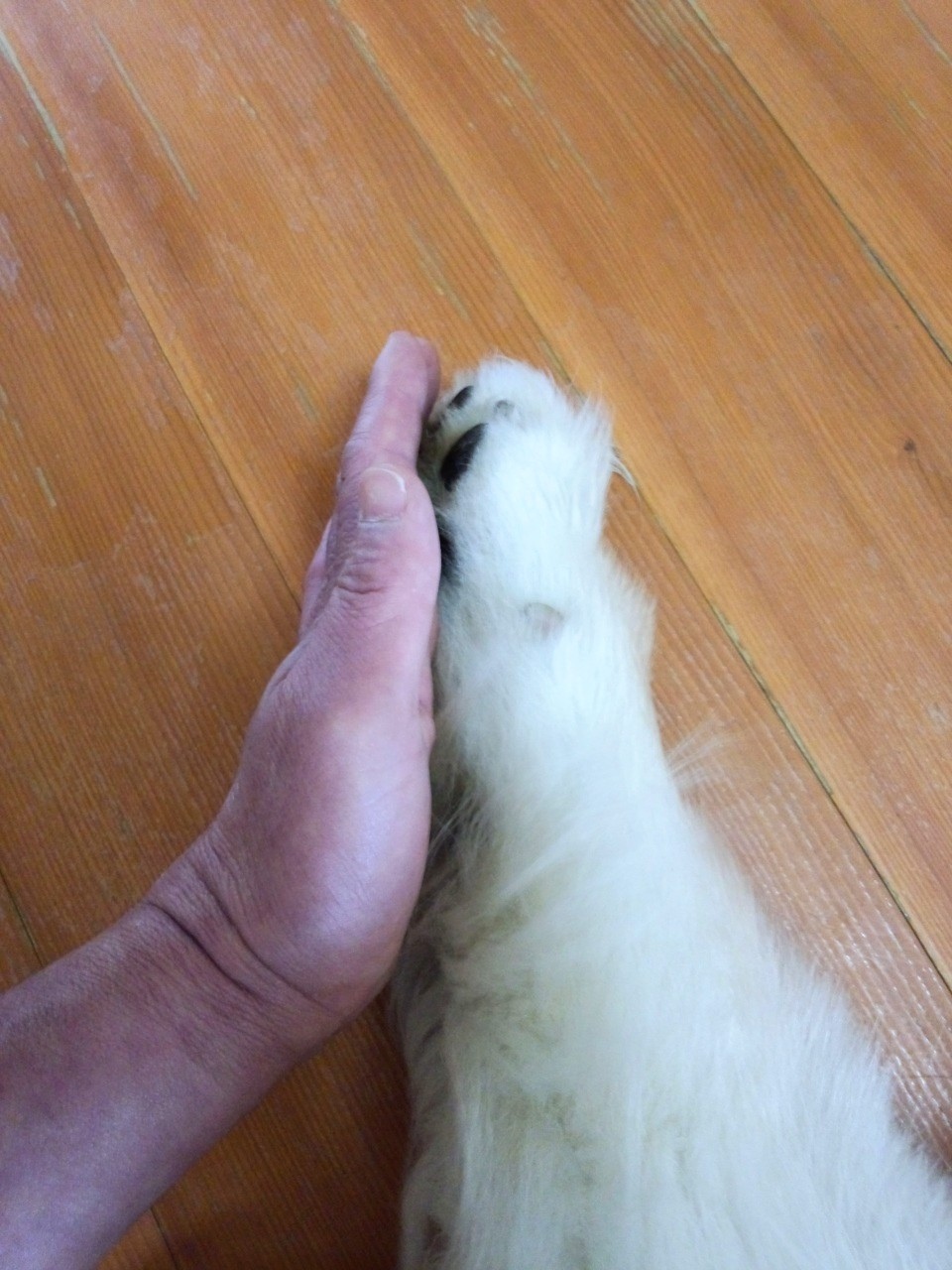 624