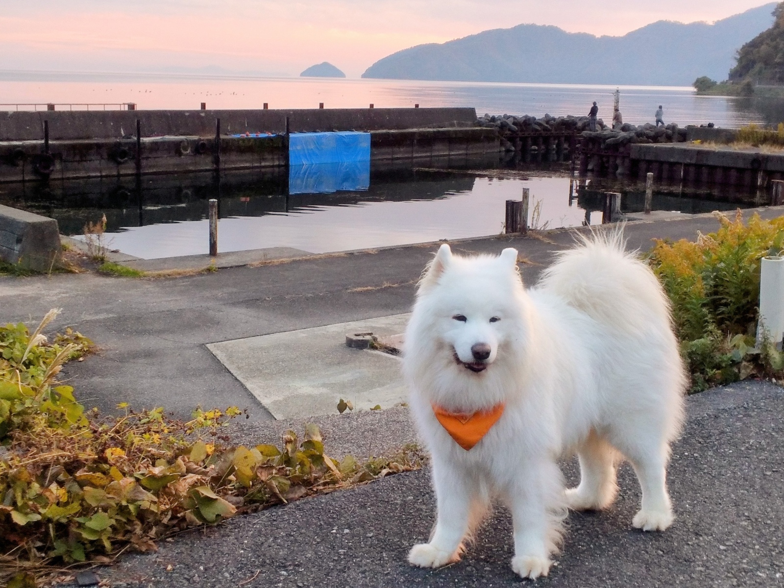 ���N�Ō�̎O�A�x