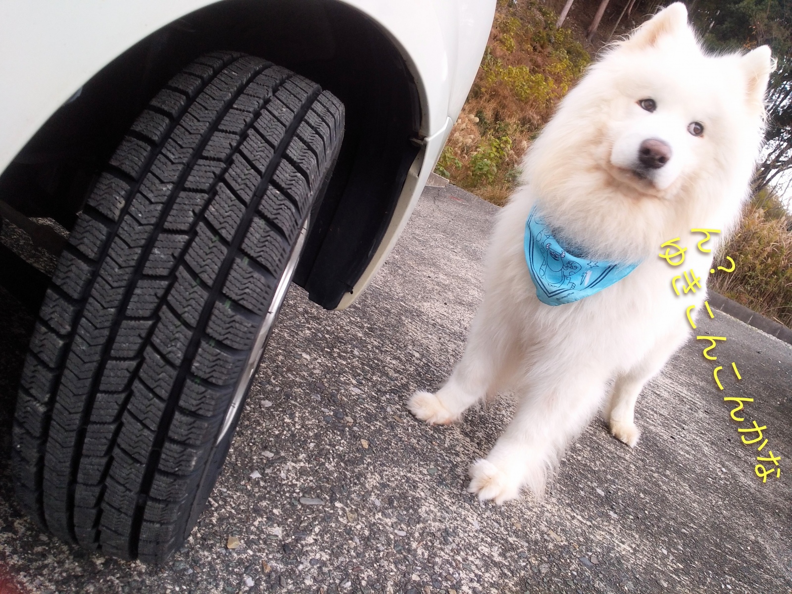 �^�C�����������I�I