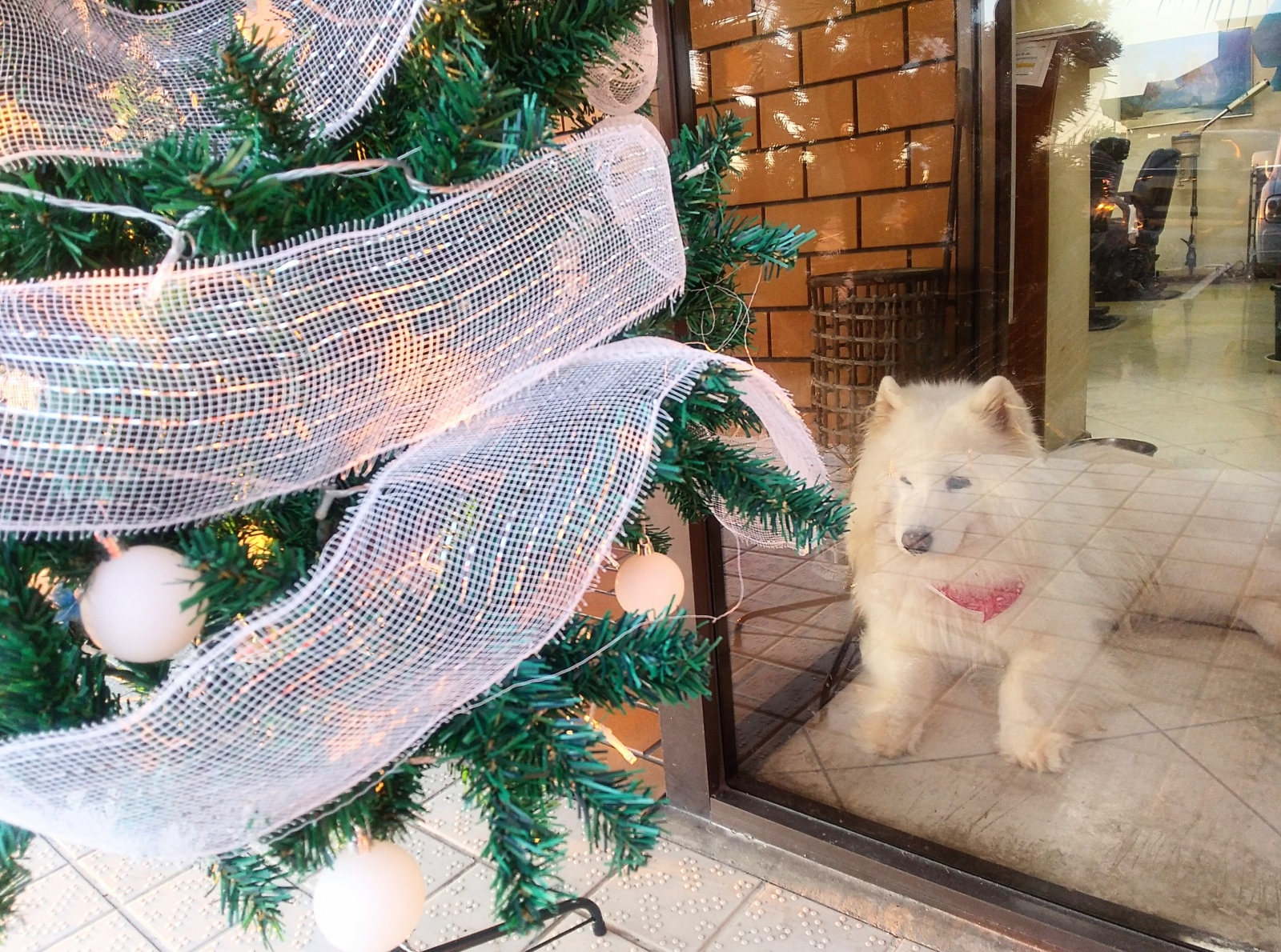 ���������d������΂��Ă܂����