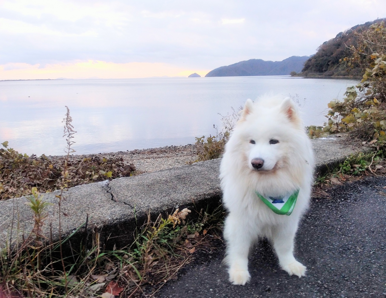 �~���H �~���\���O�H