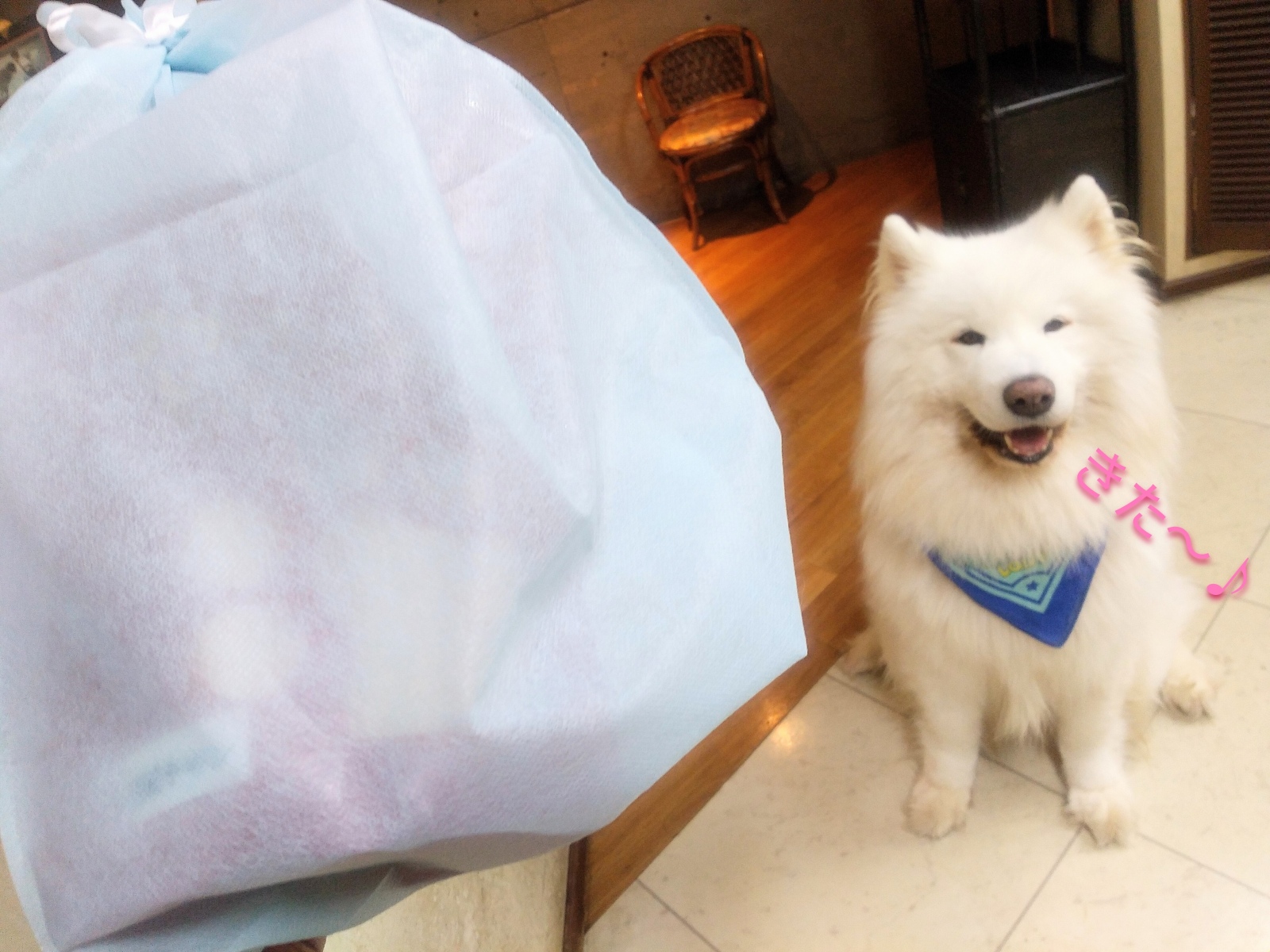 �ڂ��ɂ��T���^������Ă���