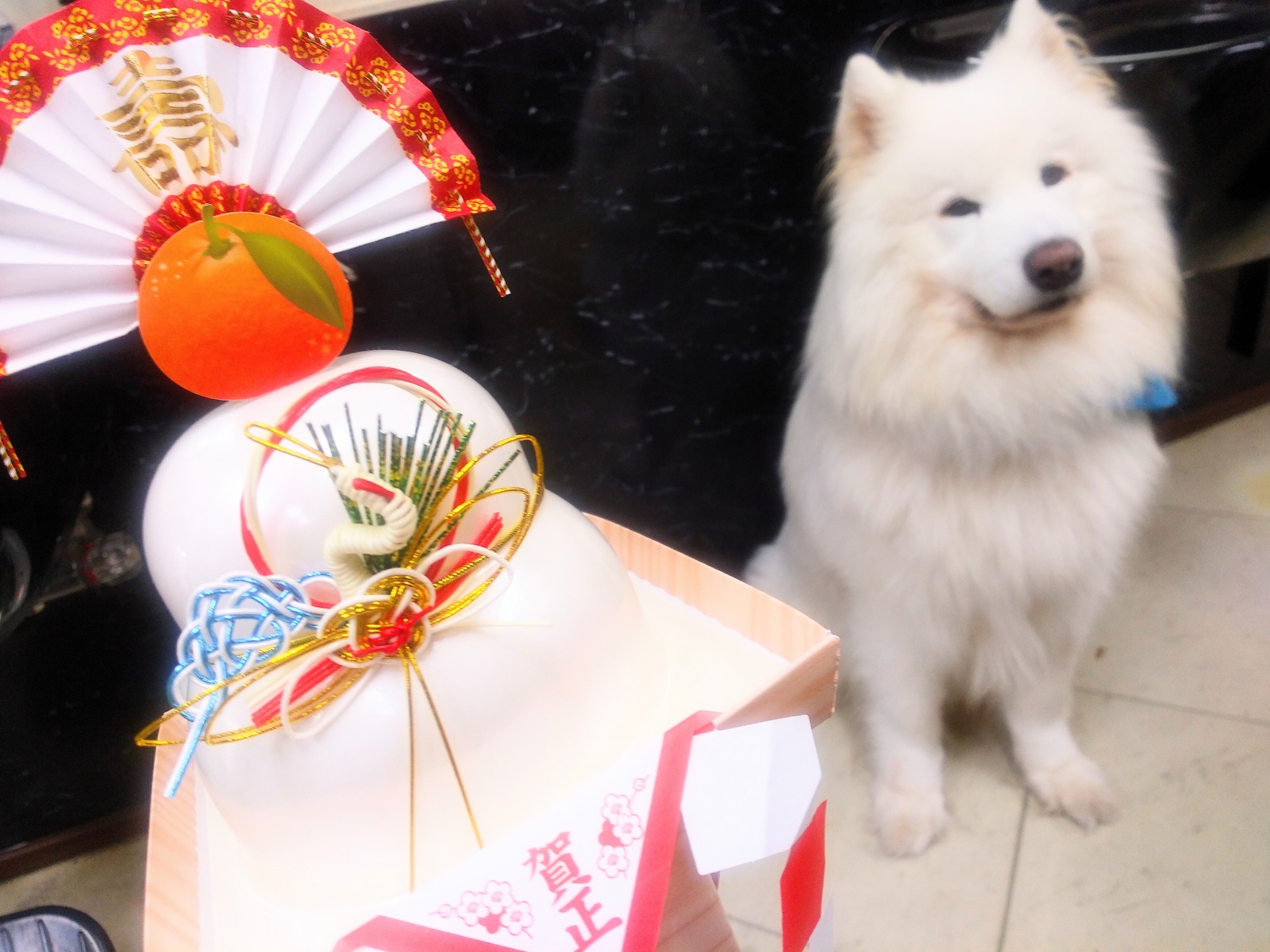 ���N����N��ς����b�ɂȂ�܂���