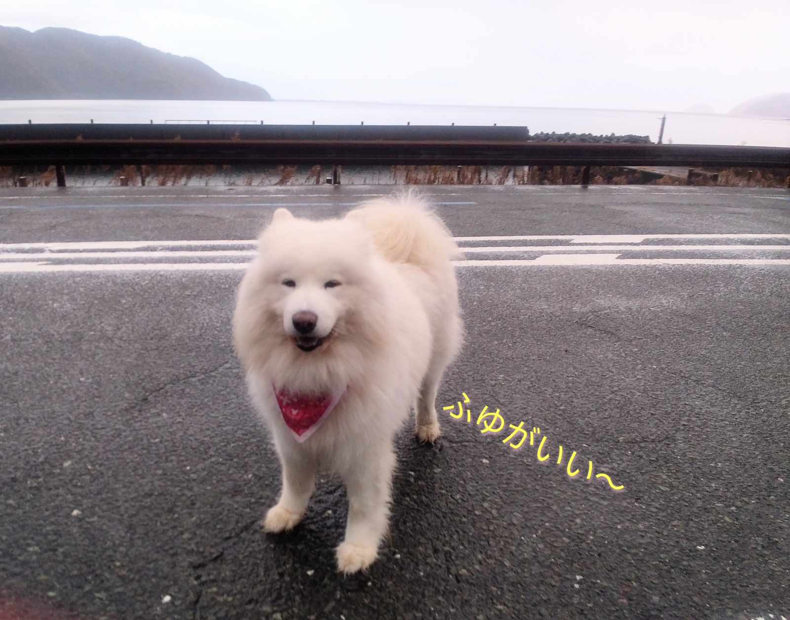 ������ �₽�I