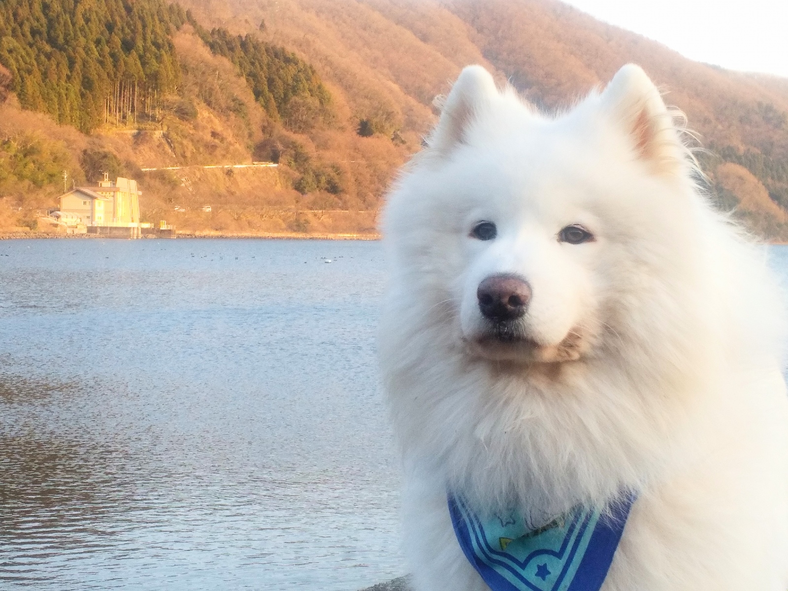 ��΂����΂���[�I