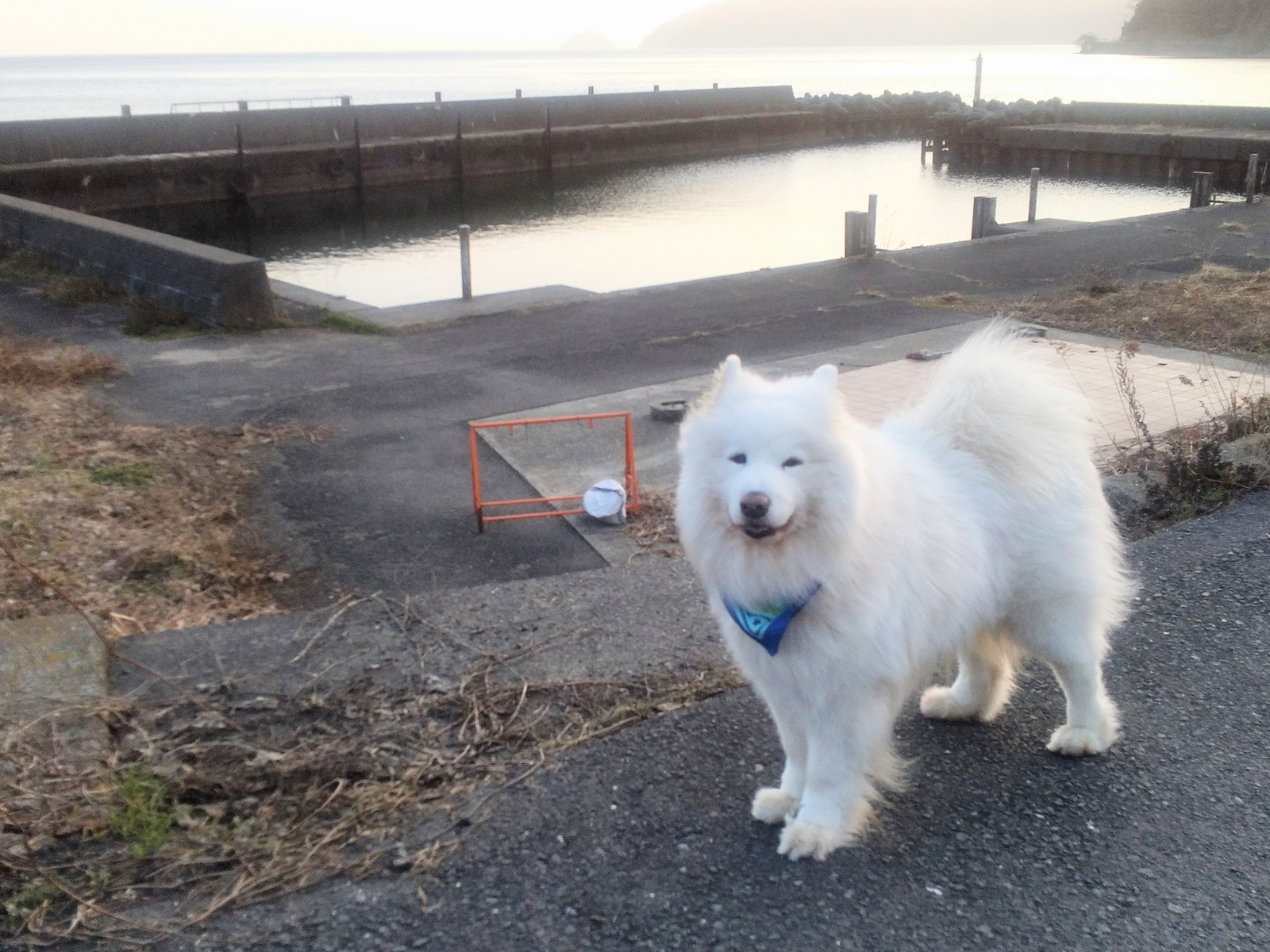 3�A�x���I��肻���ł���