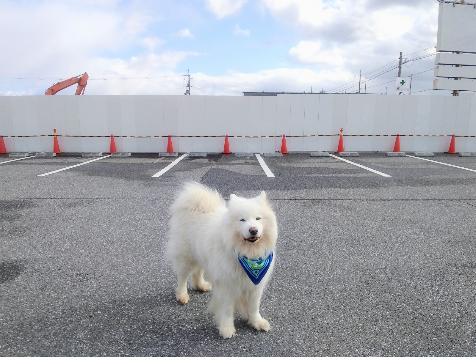 ���͗����