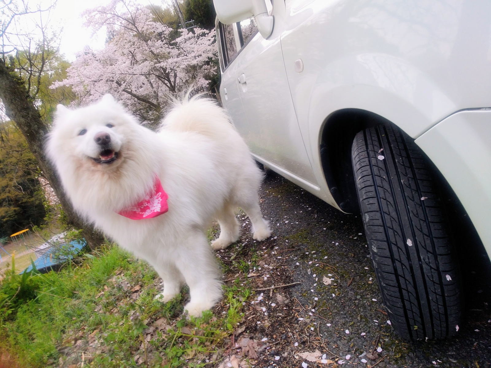 ����Ƃ��ł����I