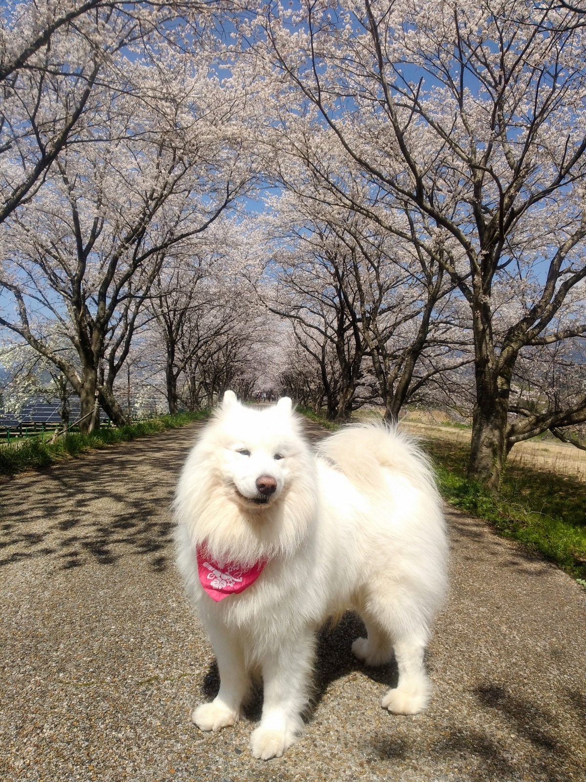 �l������