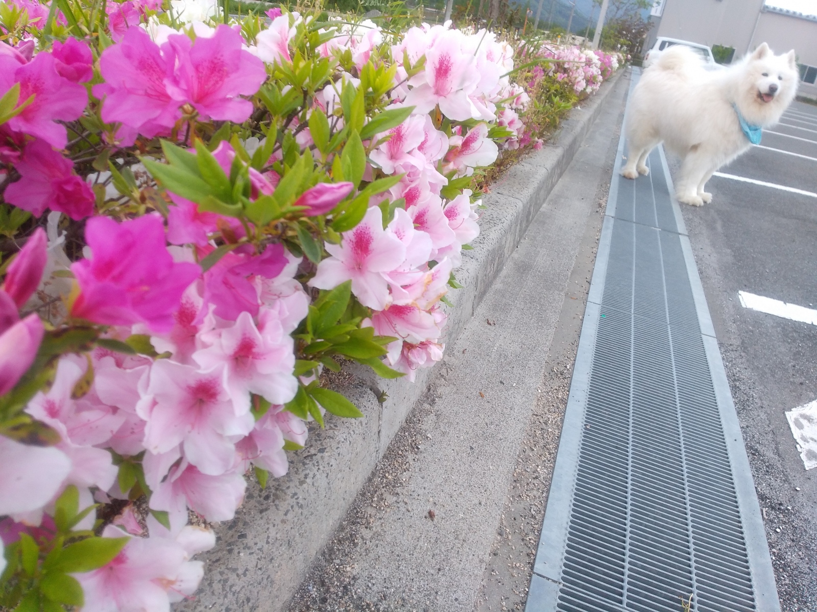 ���X��