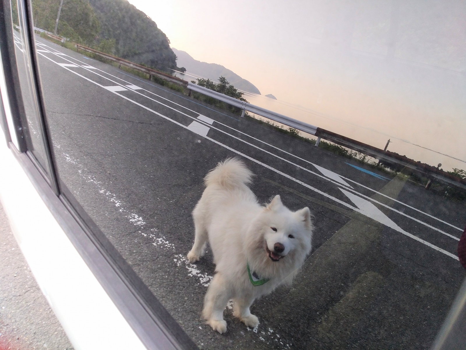 �[���ɂȂ��ď��������o�Ă��܂�����